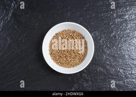Koriander, Koriandersamen, Koriandersamen, Koriandersamen Stockfoto