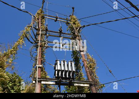 Eine elektrische Verteilung Transformator mit Kühlrippen auf der Pole. Gegen den blauen Himmel. Stockfoto