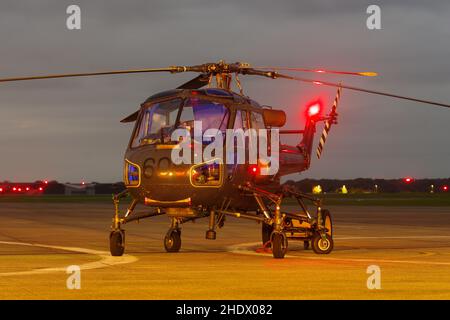 Navy Wings Heritage Flight Westland Wasp XT420, Stockfoto