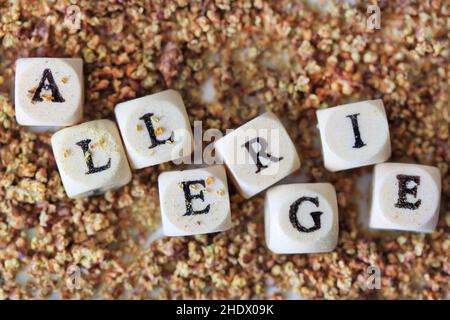 Allergie, Pollen, Pollenallergie, Allergien, Pollen, Pollenallergien Stockfoto