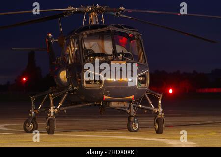 Navy Wings Heritage Flight Westland Wasp XT420, Stockfoto