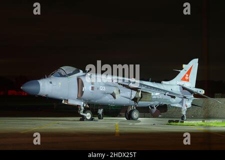 Hawker Sea Harrier, RNAS Yeovilton, Stockfoto