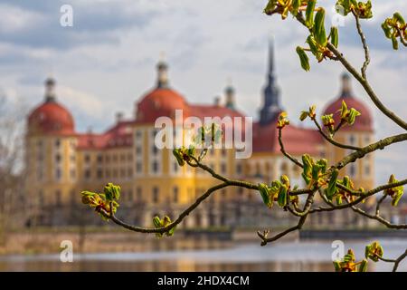 moritzburg, Schloss moritzburg, moritzburgs, schloss moritzburgs Stockfoto