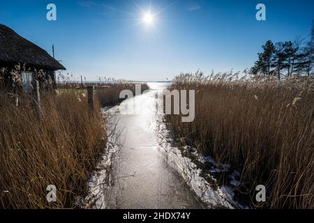 bodden, darss, fischland, wieck, boddens, Frischlands Stockfoto