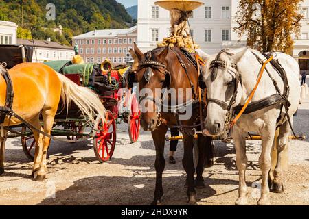 Pferdekutsche, Fiaker, Pferdekutschen, Postkutsche, Fiaker Stockfoto