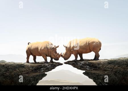 Wettbewerb, Kampf, Kampf, Wettbewerbe, Wettbewerb, Leistungssport, Kämpfe Stockfoto