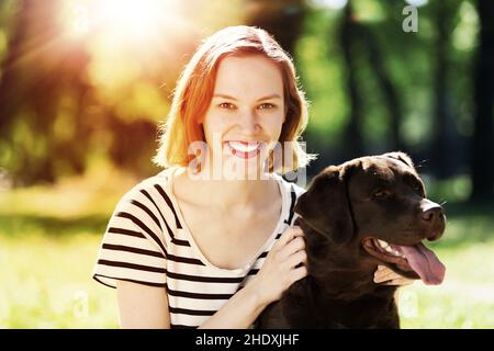 haustiere, Hund, labrador Retriever, Haustier, Hunde, labrador Retriever Stockfoto