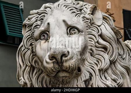 Nahaufnahme des Kopfes eines der beiden Löwen, die die Treppe der Kathedrale von San Lorenzo, Genua, Ligurien, Italien flankieren Stockfoto