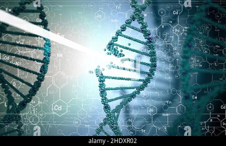 Forschung, dna-Strang, genetische Informationen, Forschungen, dna-Stränge, Genetische Informationen Stockfoto