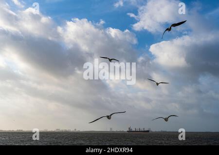 Frachtschiff Galveston Bay 2 Stockfoto