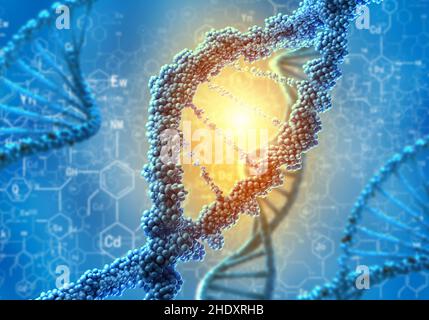 Genetische Forschung, dna-Strang, genetische Information, genetische Forschung, dna-Stränge, Genetische Informationen Stockfoto