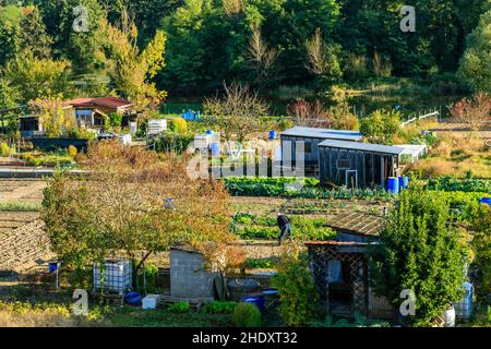 Frankreich, Loire, Roanne, die Arbeitergärten des Rivage auf einem Deich des Loire-Flusses // Frankreich, Loire (42), Roanne, les jardins ouvriers du Rivage sur Stockfoto