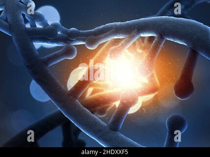 Genetische Forschung, Codierung, dna-Strang, genetische Forschung, dna-Stränge Stockfoto