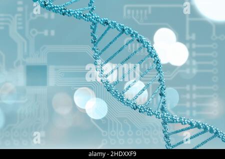 biochemie, Doppelhelix, dna-Strang, genetische Informationen, Biochemie, Doppelhelixe, dna-Stränge, genetische Informationen Stockfoto