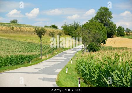 Eine kleine, schmale Landstraße schlängelt sich durch verschiedene Felder. Stockfoto