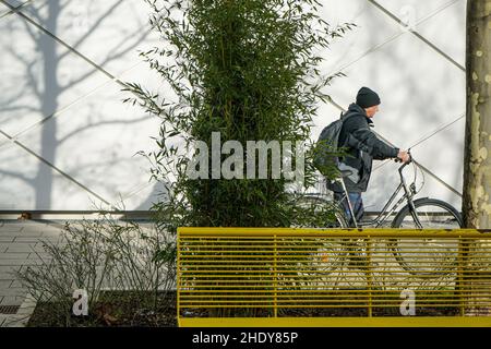 Mann geht und schiebt sein Fahrrad hinter einer gelben Bank entlang. Stockfoto