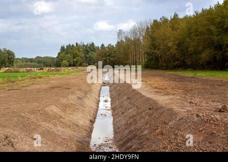 Neu gegrabener Entwässerungskanal Stockfoto