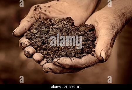 Erde, fruchtbar, oberirdisch, Erden, fruchtbar, Boden, Oberboden, Oberböden Stockfoto