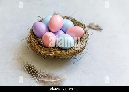 Frohe Ostern Konzept. Vorbereitung auf den Urlaub. Bunt verzierte ostereier im Nest mit Feder auf betonsteingrauem Hintergrund. Einfacher Minimalismus flach Lay Draufsicht Kopierraum Stockfoto