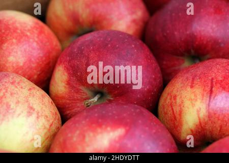 apfel, jonagold, Äpfel, Jonagolds Stockfoto