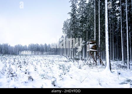 Winterwunderland in den belgischen Ardennen in der Nähe von Manhay. Stockfoto