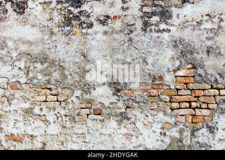 Verwittert, Backsteinmauer, Weide, Backsteinwände Stockfoto