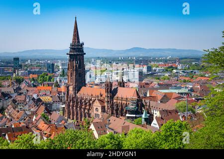 freiburger Münster, freiburger Minster Stockfoto