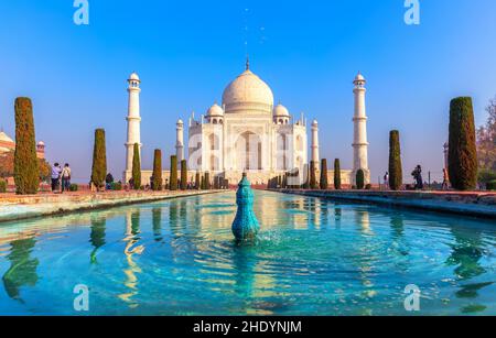 taj mahal, agra, taj Mahals, agras Stockfoto