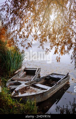 Boote auf See am Herbst nebligen Morgen. Sonnenaufgang über dem See. Friedliche Landschaft in der Natur Stockfoto