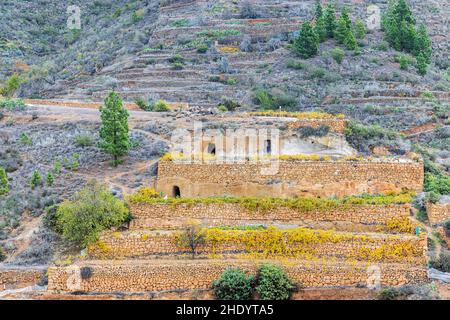 Bergdorf und Bauernhöfe Terrassen von Las Fuentes, Guia de Isora, Teneriffa, Kanarische Inseln, Spanien Stockfoto