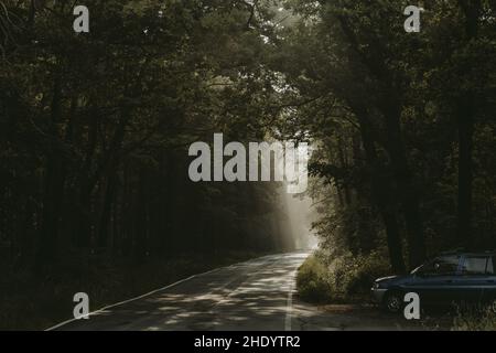 Blaues Auto, das am Waldrand an der Straße geparkt ist, mit Sonnenstrahlen der Morgensonne, die durch die Bäume im Hintergrund scheinen Stockfoto