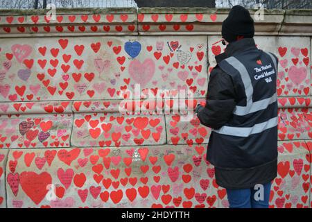 London, Großbritannien. 07th Januar 2022. Freiwillige malen neue Herzen an der National Covid Memorial Wall, direkt vor dem St. Thomas' Hospital. Krankenhäuser in London sind mit einer steigenden Zahl von Covid-Patienten konfrontiert. Quelle: Thomas Krych/Alamy Live News Stockfoto