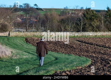 Älterer Mann mit flacher Mütze und Wachsjacke, der an einem kalten, sonnigen Tag alleine auf dem Feld unterwegs ist, East Lothian, Schottland, Großbritannien Stockfoto