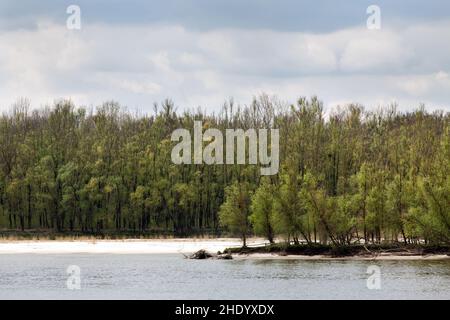 Liberland, offiziell die Freie Republik Liberland, ist eine Mikronation, die ein unbewohntes Stück umstrittenen Landes am westlichen Ufer der Danu beansprucht Stockfoto