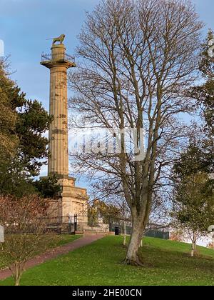 Die Tenantry-Säule - ein Denkmal in der Stadt Alnwick in Northumberland, England. Es wurde 1816 von den Mietern von Hugh Percy, 2nd Herzog von Northu, errichtet Stockfoto