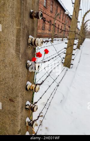 KZ Auschwitz, Polen Stockfoto