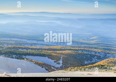 Frankreich, Vaucluse, Parc Naturel Regional du Mont Ventoux (Naturpark Mont Ventoux), Beduinen, Mont Ventoux, Südseite des Mont Ventoux, Buche Stockfoto