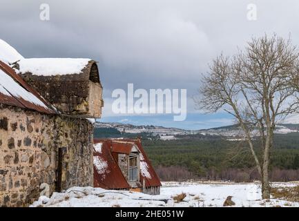 INVERDRUIE, AVIEMORE, SCHOTTLAND - 6. JANUAR 2022: - Dies ist die Szene einer lange stillgegangenem Farm und ihres Hauses in der Caingorms Region von Aviemore, Scotl Stockfoto