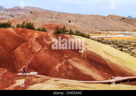 Besucher wandern weiße Hunde; Painted Hills; geologische Stätte; John Day Fossil Beds National Monument; in der Nähe von Mitchell; Oregon; USA Stockfoto