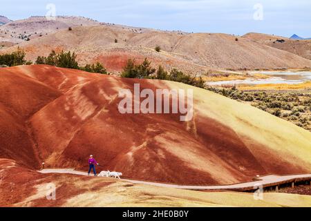 Besucher wandern weiße Hunde; Painted Hills; geologische Stätte; John Day Fossil Beds National Monument; in der Nähe von Mitchell; Oregon; USA Stockfoto