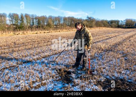 Ein Mann, der Metalldetektor verwendet, um auf einem Bauernfeld in West Lothian, Schottland, nach vergrabenen Münzen zu suchen. Stockfoto