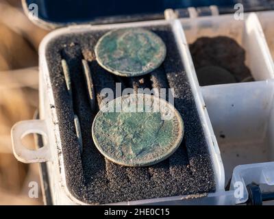 George V Penny und Victorian Münze gefunden werden, ein Metalldetektor West Lothian, Schottland. Stockfoto