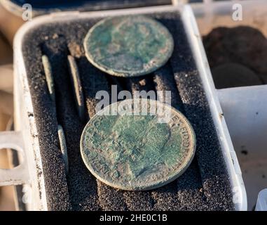 George V Penny und Victorian Münze gefunden werden, ein Metalldetektor West Lothian, Schottland. Stockfoto