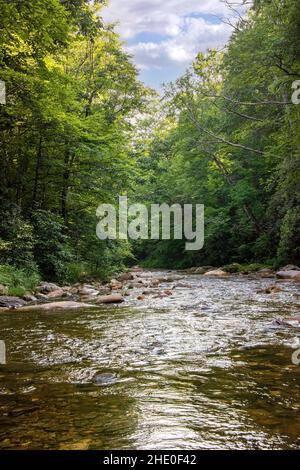 Fließender Pigeon River in den Bergen von West-North Carolina. Stockfoto