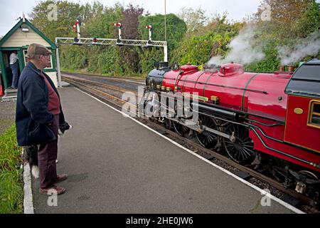 Eine Dampflokomotive, die einen Zug auf der berühmten 15inch-Spur Romney Hythe und Dymchurch Railway in Hythe steuert Stockfoto