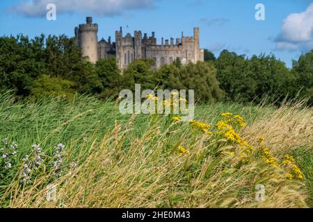 Arundel Castle, Arundel, West Sussex, England, Großbritannien Stockfoto