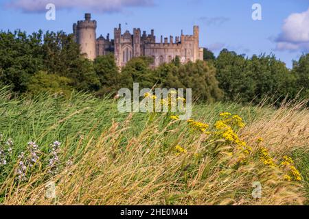 Arundel Castle, Arundel, West Sussex, England, Großbritannien Stockfoto