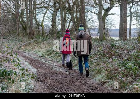 Ein älteres Paar, das an einem Wintermorgen, Hampshire, Großbritannien, mit seinem Hund auf einem frostigen Waldweg läuft Stockfoto