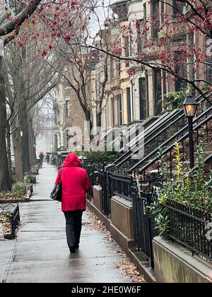 Ruhiger regnerischer Morgen in einer berühmten Wohnstraße im Park Slope-Viertel von Brooklyn, New York. Stockfoto