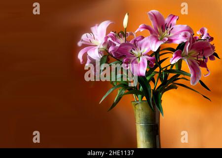 Bouquet von schönen rosa Lilien in einer Vase auf einem orangen Hintergrund Stockfoto